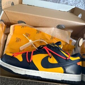 Nike Michigan dunks